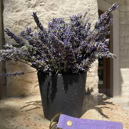 Lavender And Salt Holiday Vikendica Banjol