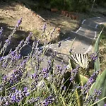 Lavender And Salt Nyaraló