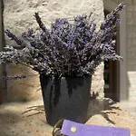 Lavender And Salt Nyaraló Banjol